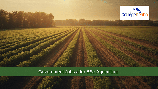 Government Jobs after BSc Agriculture