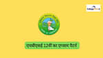 हरियाणा 12वीं एग्जाम पैटर्न 2026 (Haryana 12th Exam Pattern 2026 in Hindi)