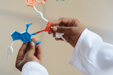HBSE Haryana Class 12 Biology Chapter-Wise Weightage 2024 (Image credit: Pexels)