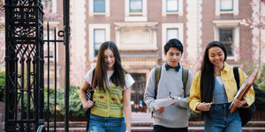 How Does DU SOL's Online BA in Political Science compare to IGNOU's Program?