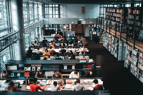 How to Leverage Your BSc for Study Abroad Opportunities