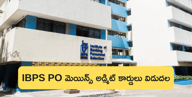 IBPS PO మెయిన్స్ అడ్మిట్ కార్డు 2024 డౌన్‌లోడ్ లింక్ (IBPS PO Mains Admit Card 2024 Download Link)