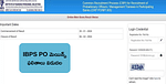 IBPS PO Mains Result 2024 Out: IBPS PO మెయిన్స్ ఫలితాలు వచ్చేశాయ్.. ఇదే డైరక్ట్ లింక్
