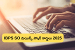 IBPS SO మెయిన్స్ స్కోర్ కార్డులు విడుదల, ఇలా డౌన్‌లోడ్ చేసుకోండి (IBPS SO Mains 2025 Score Card Login Steps)