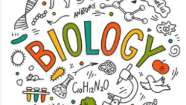ICSE Class 10 Biology 2025 Most Predicted Questions (Image Credit: Pexels)