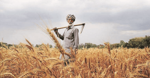 Western Sydney University Ties Up with ICAR to Double Farmers’ Income