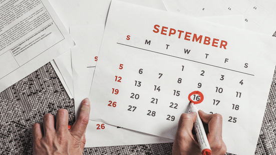 JEE Main 2025 Session 1: City slip and admit card dates (Image Credit: Pexels)