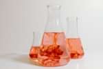JEE Main Chemistry Analysis Session 2 Day 2 (April 8)