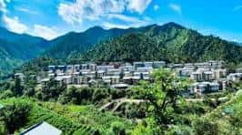 JoSAA IIT Mandi Round 1 Cutoff Closing Rank 2025 Released