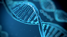 KCET Biology Unofficial Answer Key 2025 OUT: Set-wise questions with answer key solutions