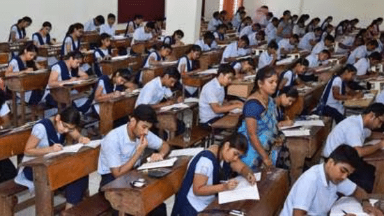 Karnataka 2nd PUC Biology Answer Key 2024: Exam Analysis, Question Paper Solutions (Image Credit: Pexels)
