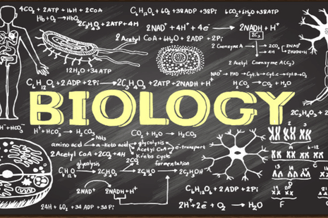 Karnataka 2nd PUC Biology Model Paper 2023 PDF