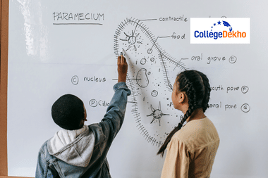 Kerala Plus Two Biology Model Paper 2025