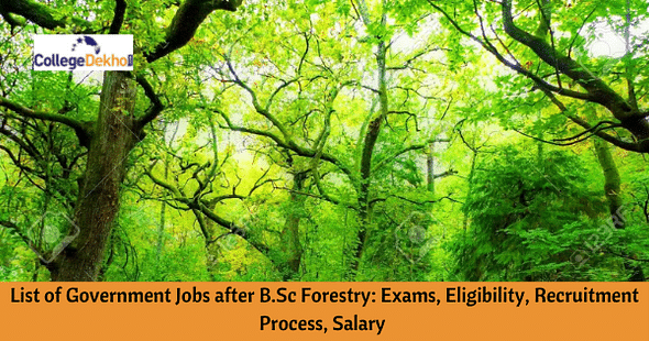 List of Government Jobs after B.Sc Forestry: Exams, Eligibility, Recruitment Process, Salary