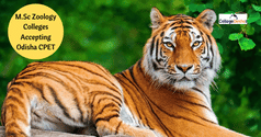 List of MSc Zoology Colleges Accepting Odisha CPET 2025 Score - Check Eligibility, Admission Process, Seat Matrix