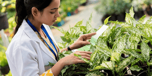 MAH B.Sc Agriculture Round 1 Seat Allotment Result Releasing on August 16