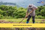 Madhya Pradesh BSc Agriculture Admission: Dates, Application Process, Eligibility, Merit List, Counseling