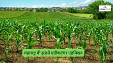 महाराष्ट्र बीएससी एग्रीकल्चर एडमिशन 2024 (Maharashtra BSc Agriculture Admission 2024): राउंड 3 सीट आवंटन (जारी), कट ऑफ लिस्ट, कॉलेज और लेटेस्ट अपडेट