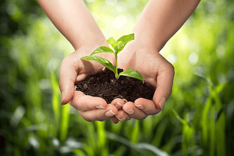 Maharashtra B.Sc Agriculture CAP 2023 Dates Released