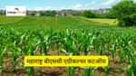 महाराष्ट्र बीएससी एग्रीकल्चर कटऑफ 2025 (Maharashtra B.Sc Agriculture Cutoff 2025)