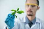 Maharashtra HSC Biology Weightage 2025 (Image Credits: Pexels)