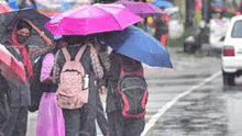 Maharashtra School Holiday 3 September 2024: Likely districts, IMD warnings