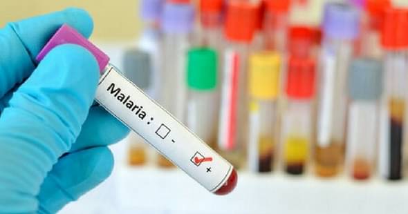 University of Hyderabad Researchers Develop Nanomedicine for Malaria Treatment