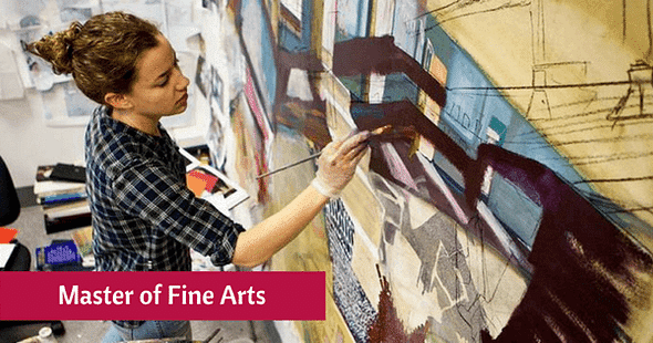 Master of Fine Arts Courses, Eligibility and Scope