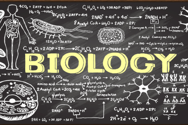 List of scoring chapters with weightage for NEET Biology 2023