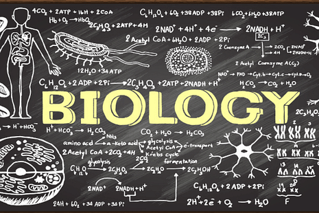 List of scoring chapters with weightage for NEET Biology 2023
