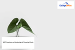 NEET Questions on Morphology of Flowering Plants
