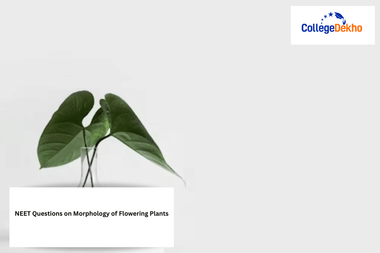 NEET Questions on Morphology of Flowering Plants