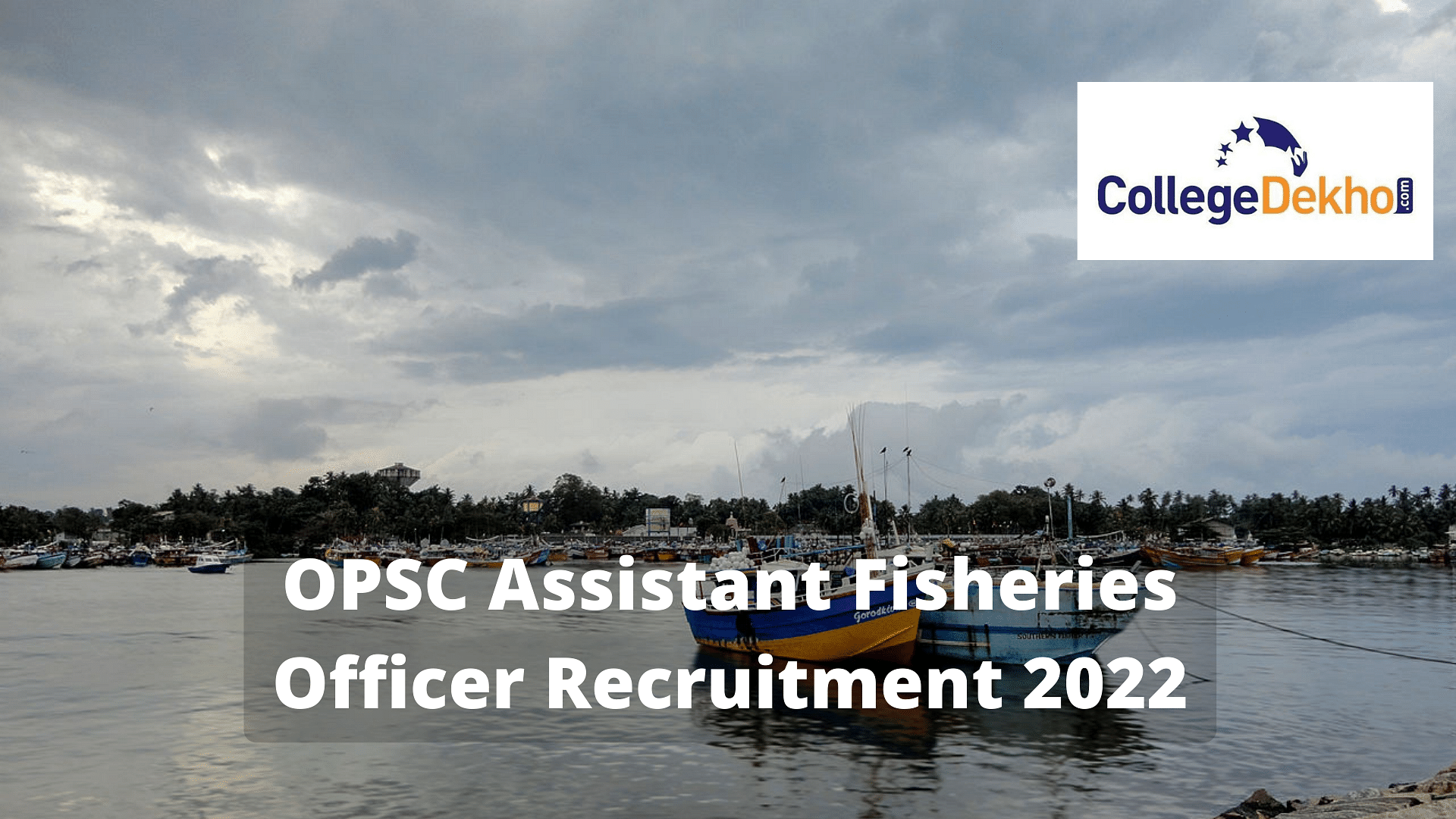 OPSC Assistant Fisheries Officer Recruitment 2022 Concluded - What Next ...