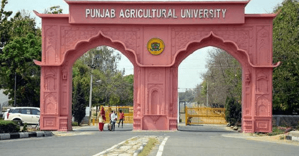 Punjab Agricultural University to Hold Annual Convocation on 10th August