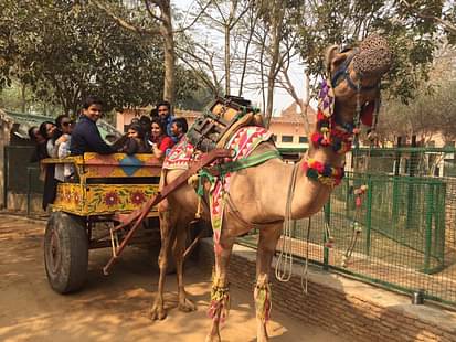 Annual Picnic at Pratapgarh Farms & Resorts-Jhajjar