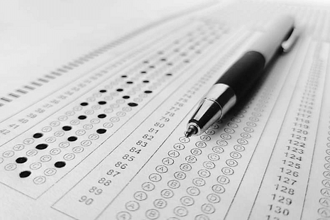 Punjab B.Ed Answer Key 2025