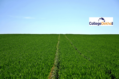 Rajasthan JET 2022 Syllabus: Where to download