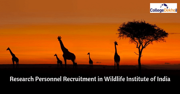 Wildlife Institute of India Recruitment