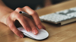 SAMS Odisha +2 Phase 2 1st Selection Merit List 2024 Download Link Activated (Image Credit: Pexels)
