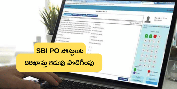 SBI పీవో పోస్టులకు దరఖాస్తు గడువు పొడిగింపు (SBI PO Recruitment 2025)