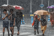 School Holiday 7 August 2024 due to Rain: All states latest updates on schools leave