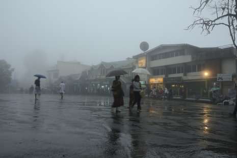 School Holiday due to Rain 24 September 2025 LIVE Updates