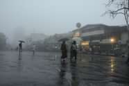 School Holiday due to Rain 24 September 2025 LIVE Updates: West Bengal, Maharashtra, Odisha, state-wise holiday updates