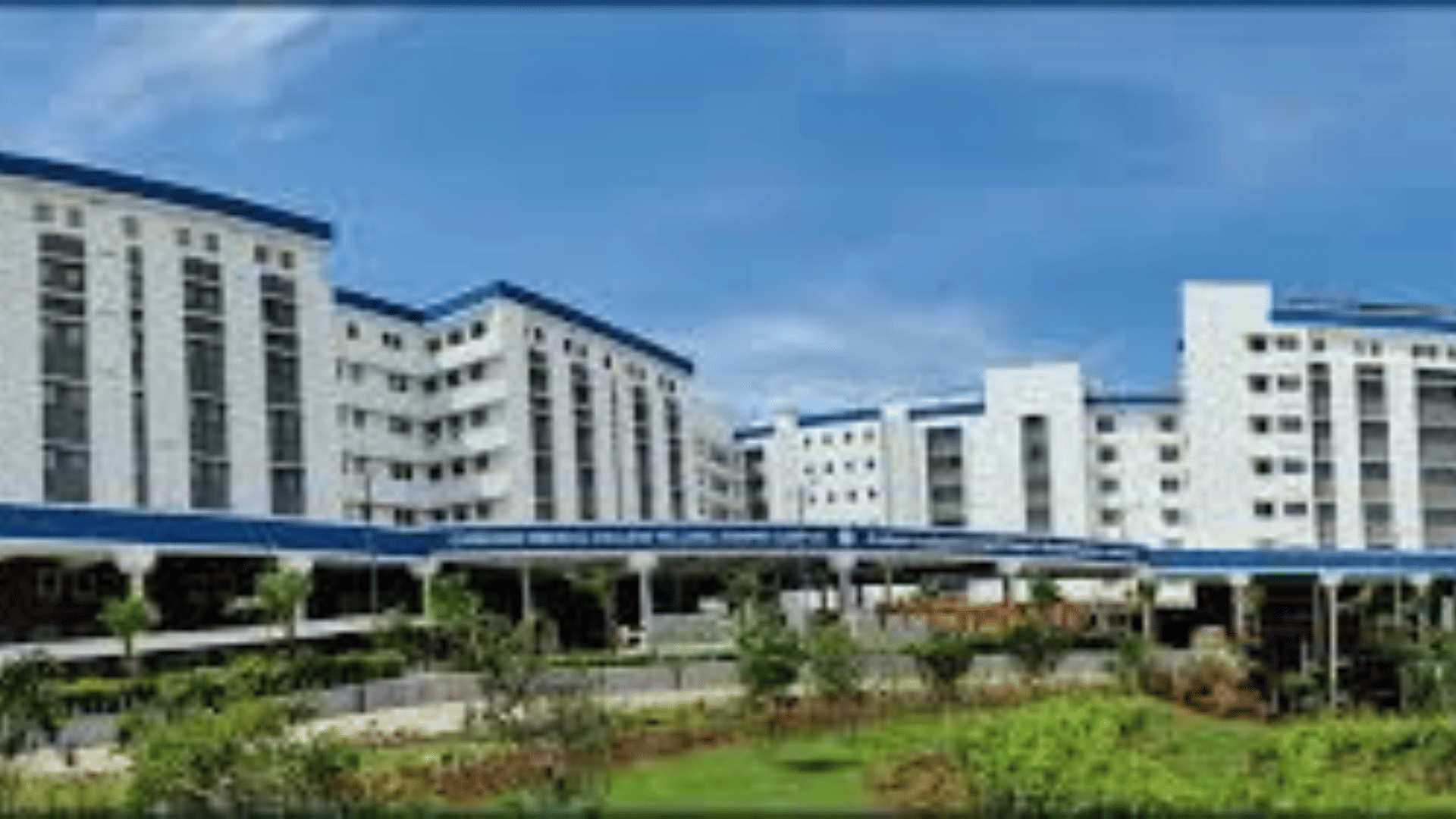 TN NEET UG Round 1 CMC Vellore MBBS Cutoff 2024 (Image Credit: Pexels)