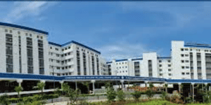 TN NEET UG Round 1 CMC Vellore MBBS Cutoff 2024 (Image Credit: Pexels)