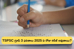 TSPSC గ్రూప్ 3 ఫలితాలపై 2025 కీలక అప్‌డేట్    (TSPSC Group 3 Results 2025 Expected Date And Time)