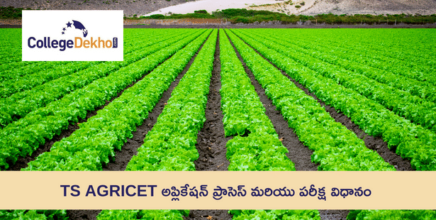 TS AGRICET 2024 అప్లికేషన్ ప్రాసెస్ ( TS AGRICET 2023 Application Process) మరియు పరీక్ష విధానం