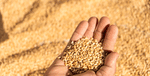 TS EAMCET 2025 B.Sc​​​​​​​ అగ్రికల్చర్ అర్హత ప్రమాణాలు (TS EAMCET B.Sc Agriculture Eligibility Criteria 2025)