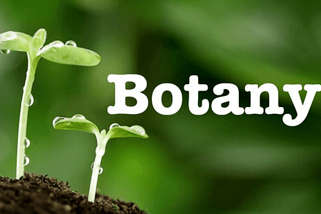 TS Inter First Year Botany Model Question Paper 2023 PDF Download