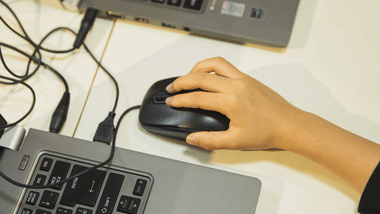 TS LAWCET Web Options Link 2024 Released: Exercise preferences before August 23 (Image Credit: Pexels)